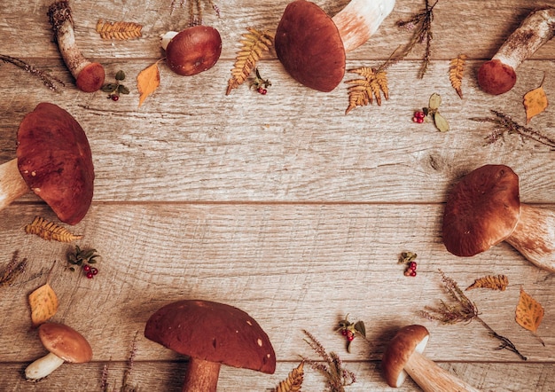 Composición de hojas de otoño con marco de imagen Espacio de copia