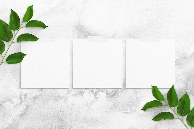 Composición de hojas de papel acuarela cuadradas blancas pegadas con cinta adhesiva y ramas de árboles con hojas sobre un fondo de hormigón. Maqueta publicitaria en la pared. Plano, vista superior, espacio de copia