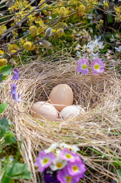 Composición de huevos de Pascua en un nido de paja, ramitas de flores de sauce y primavera.