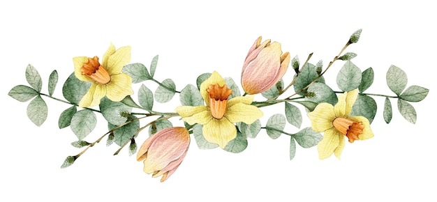 Composición de ilustraciones en acuarela con tulipanes, narcisos, flores, eucaliptos y sauces