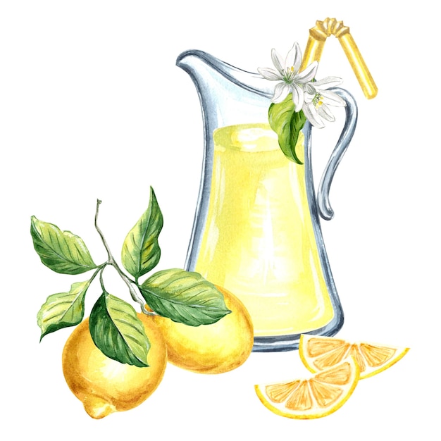 Composición de jarra con limonada limones con rodajas y flores Ilustración dibujada a mano en acuarela