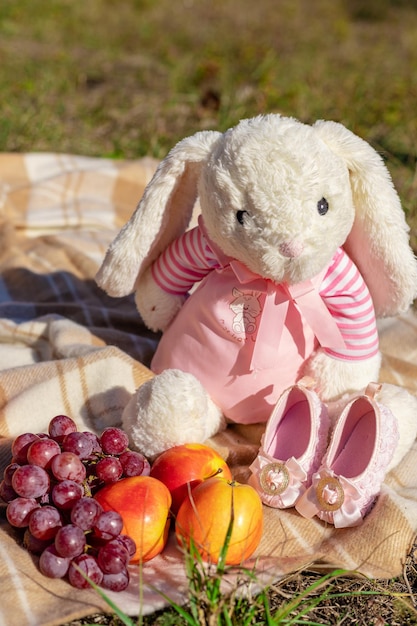 Composición de una liebre de peluche y frutas en la naturaleza en un día soleado