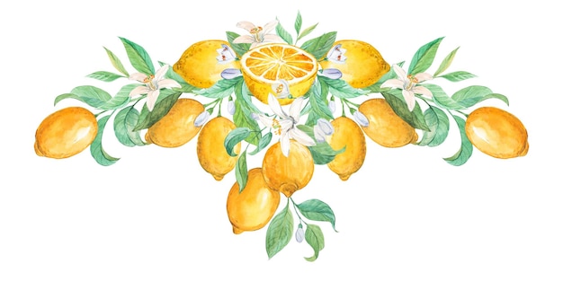 Composición de limones maduros y hojas verdes Ilustración en acuarela al estilo provenzal diseño de etiquetas de limoncello Frutas exóticas amarillas una fuente de fitaminas Estilo retro