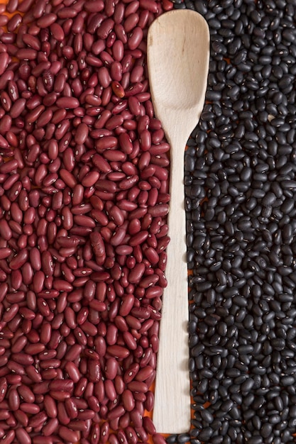 Foto composición lineal con una cuchara que separa la textura y el color de los frijoles rojos de los frijoles negros