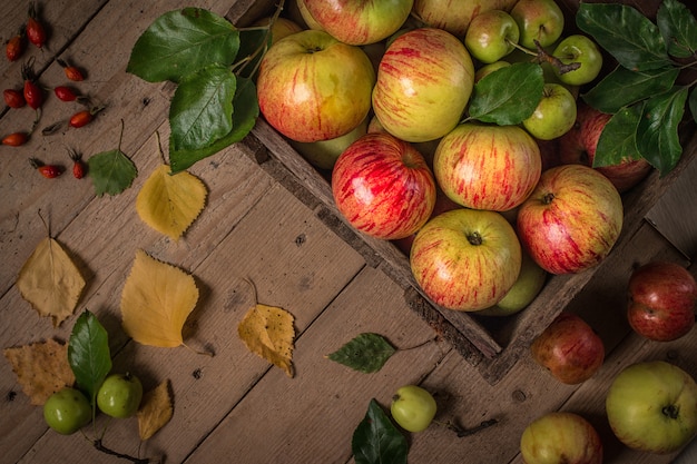 Composición con manzanas frescas en mesa de madera vieja