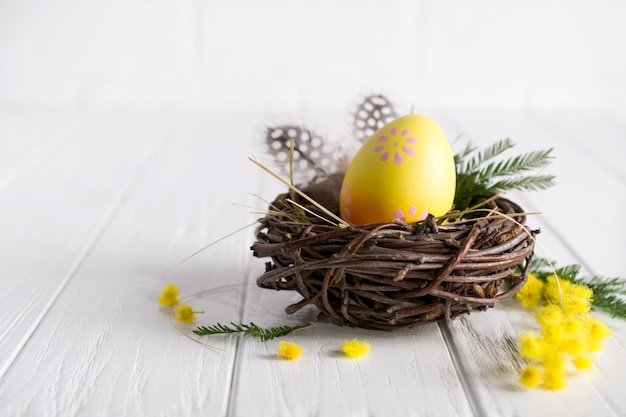 Composición mínima de pascua. Huevo de gallina amarillo decorativo en el nido. Mimosa flores y plumas. Lugar para el texto