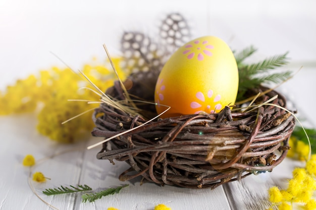 Composición mínima de pascua. Huevo de gallina amarillo decorativo en el nido. Mimosa flores y plumas. En la mesa blanca