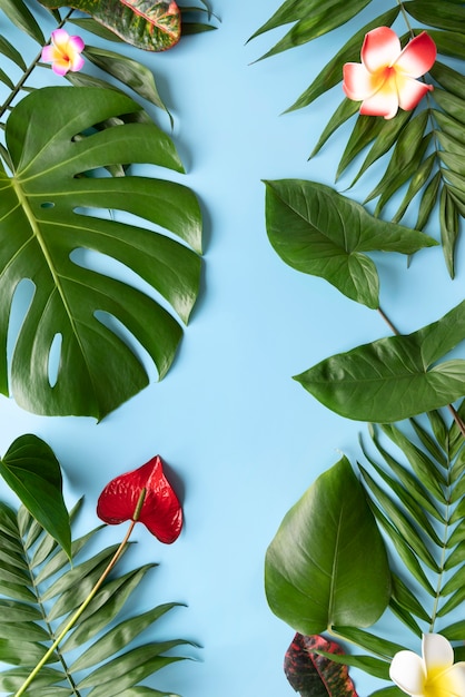 Foto composición mínima de plantas tropicales.