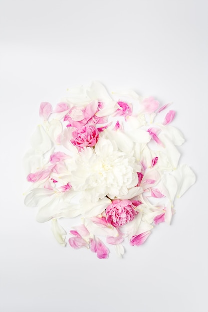 Composición minimalista de flores brillantes. Flores de peonía blanca y rosa y pétalos esparcidos sobre la superficie blanca, vista superior plana.