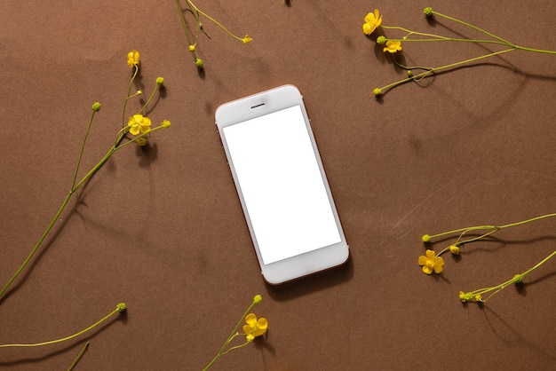 Composición minimalista de la vida marrón beige con flores silvestres y tecnología: teléfono móvil, flor amarilla, concepto de diseño de arte moderno abstracto vista superior