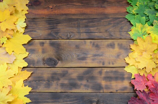 Composición de muchas hojas de otoño caídas amarillentas sobre una superficie de fondo de tablas de madera naturales de color marrón oscuro