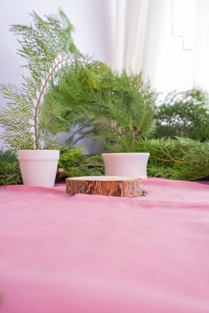 La composición muestra el producto. madera vieja redonda con decoración de hojas de abeto. ideas de exhibición de productos de verano