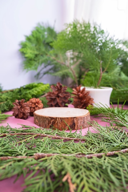 La composición muestra el producto. madera vieja redonda con decoración de hojas de abeto. ideas de exhibición de productos de verano