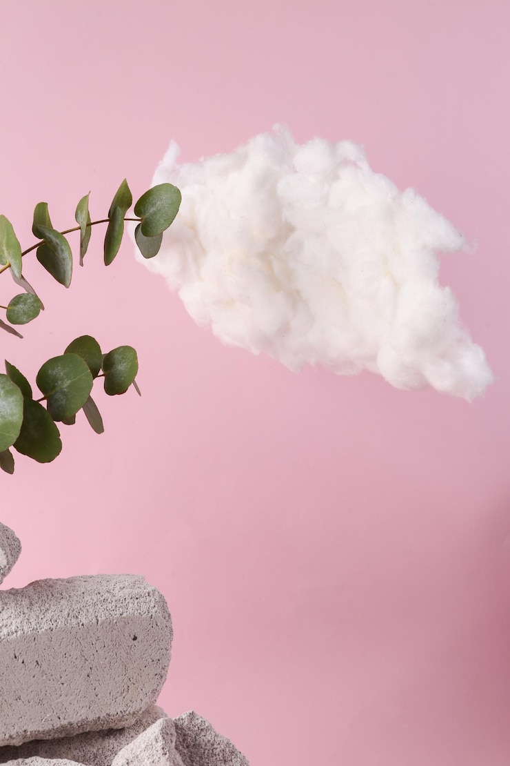 Foto composición natural con nubes de piedras y ramas de eucalipto escena minimalista sobre un fondo rosado