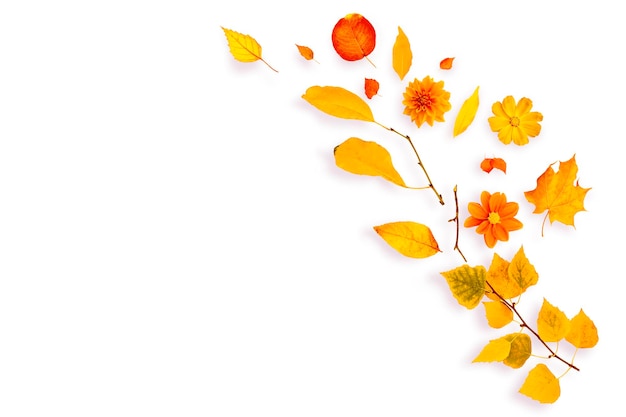 Composición natural de otoño de ramas, hojas y flores.