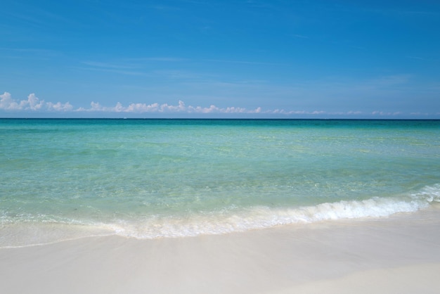 Composición de la naturaleza Fondo de panorama amplio océano azul con mar