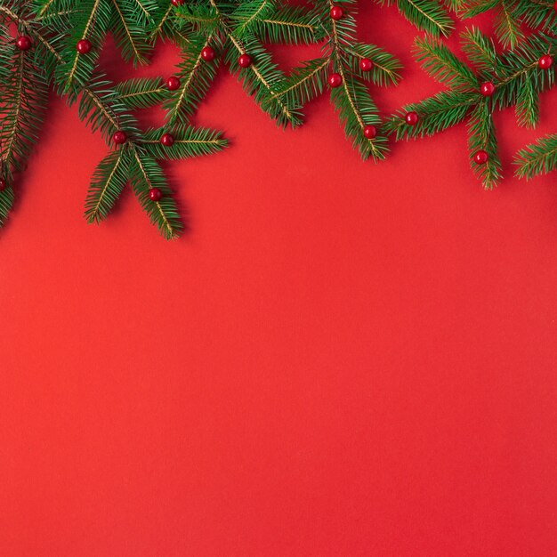 Composición de Navidad año nuevo. Ramas de abeto con frutos rojos sobre rojo