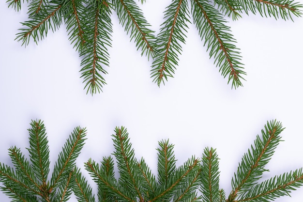 Composición de Navidad con ramas de abeto aislado