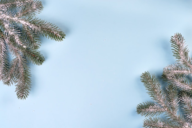 Composición navideña de ramas de abeto en azul