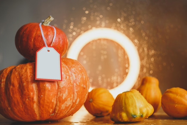 Composición otoñal de calabazas y calabazas Tarjetas de felicitación