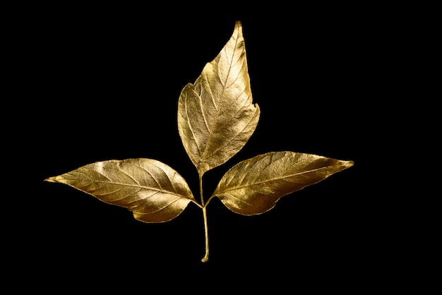 Composición otoñal de diferentes hojas doradas y letras