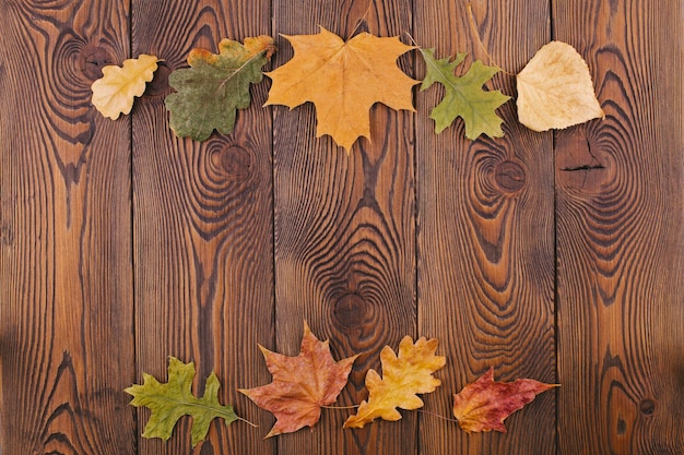 Composición otoñal con hojas secas de colores alineadas en la parte superior e inferior de la foto sobre un fondo de madera rústica Espacio de copia plana