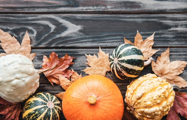 Composición de otoño, acogedora temporada de otoño, calabazas y hojas sobre fondo de madera. Símbolo de la fiesta de acción de gracias, endecha plana