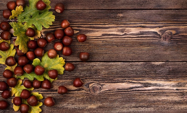 Composición de otoño con bellotas y hojas de roble en madera con textura marrón