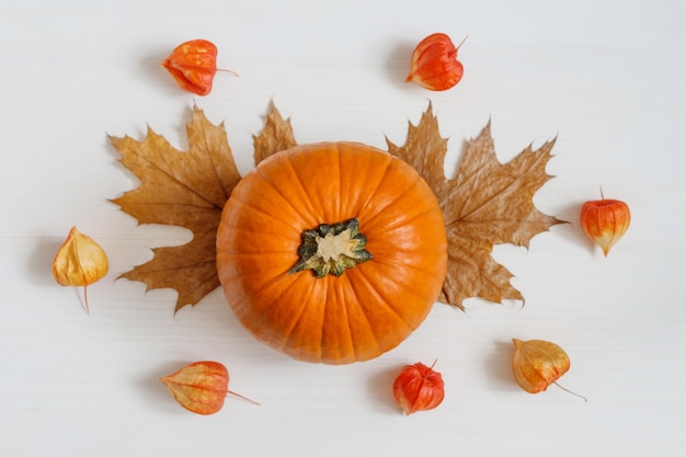 Composición de otoño calabaza hojas secas manzanas y physalis sobre un fondo de madera blanca