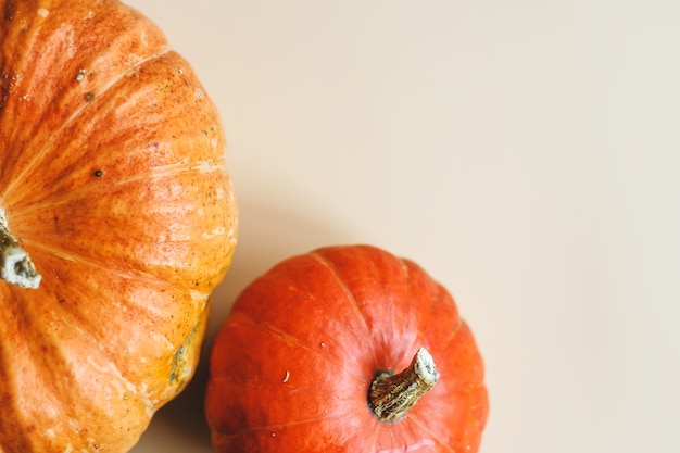 Composición de otoño, con calabazas