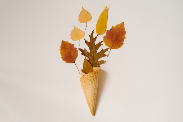 Composición de otoño. Cono de helado de waffle con hojas secas amarillentas y rojas