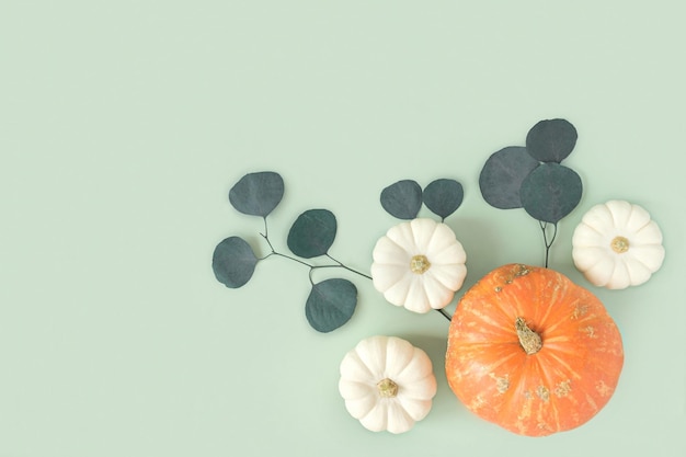 Composición de otoño Escritorio verde con calabazas y rama de eucalipto Plano vista superior copia espacio Nordic hygge hogar acogedor concepto Decoración de otoño de Acción de Gracias Halloween Modern Invitation Mock up