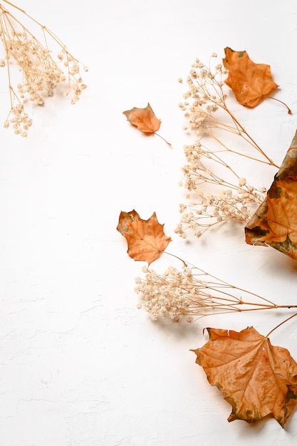 Composición de otoño Flores de hojas secas sobre fondo blanco Concepto de día de acción de gracias de otoño Otoño Espacio de copia de vista superior plana