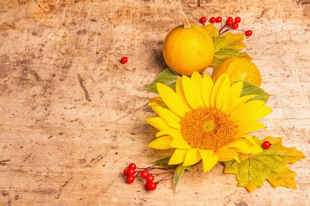 Composición de otoño. Girasol, frutos rojos y calabazas. Fondo festivo de buen humor, plano, espacio de copia