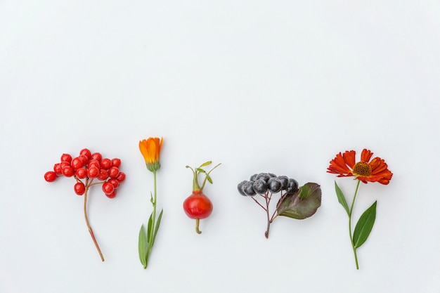 Composición de otoño hecha de plantas de otoño viburnum, chokeberry rowan berries, dogrose, hojas y flores.