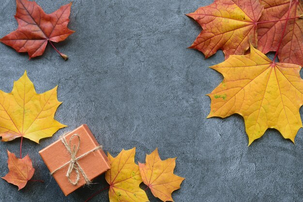 Composición de otoño. Hojas de arce y caja de regalo. Vista plana, vista superior