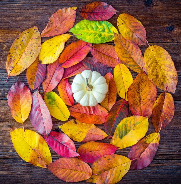 Composición de otoño con hojas de colores y mesa de madera de calabaza blanca