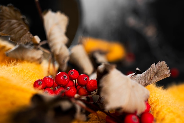 Composición de otoño. Jersey amarillo, serba sobre fondo oscuro. Foto de alta calidad