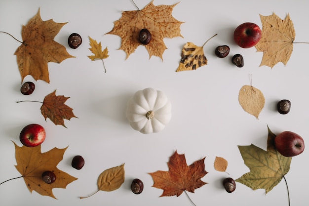 Composición de otoño y marco de hojas de otoño sobre fondo blanco espacio de copia de vista superior