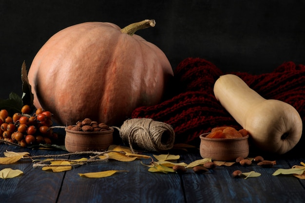 Composición de otoño con nueces de calabaza y bayas y una bufanda cálida sobre una mesa azul oscuro y un fondo negro