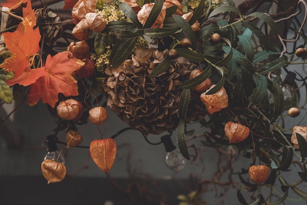 Composición de otoño o otoño Hojas de arce de otoño Linternas de physalis naranja y hortensias marrones secas Concepto de naturaleza muerta de estilo de vida Decoraciones de Acción de Gracias Enfoque suave