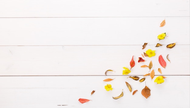 Composición de otoño de otoño hojas secas multicolores sobre fondo blanco de madera. Otoño, concepto de otoño. Endecha plana, vista superior