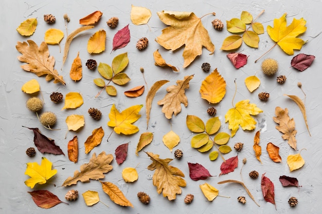 Composición de otoño Patrón hecho de hojas secas y otros accesorios de diseño en la mesa Vista plana superior