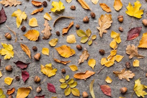 Composición de otoño Patrón hecho de hojas secas y otros accesorios de diseño en la mesa Vista plana superior