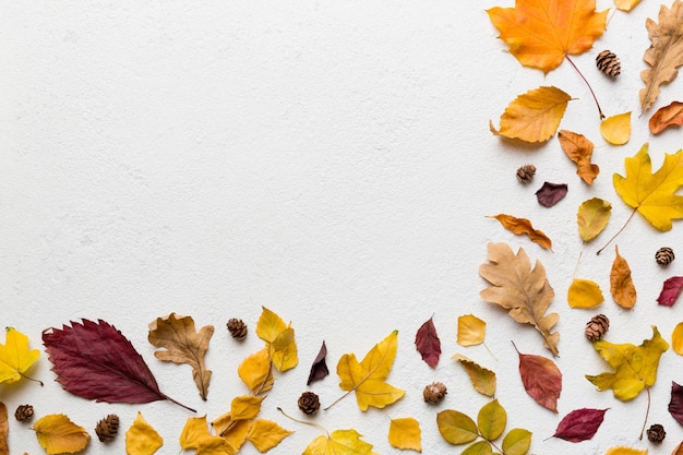 Composición de otoño Patrón hecho de hojas secas y otros accesorios de diseño en la mesa Vista plana superior