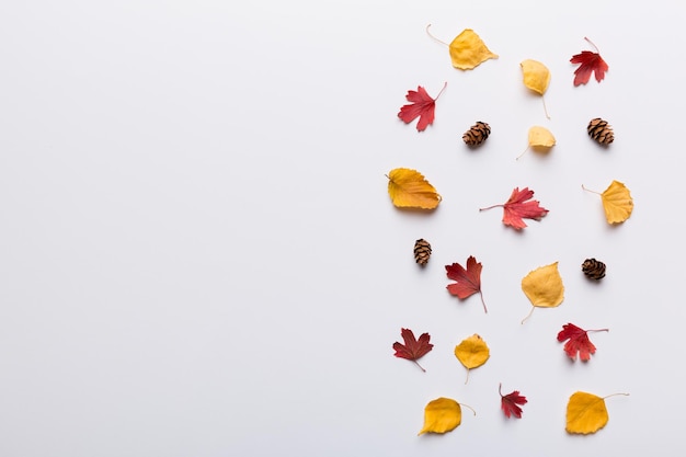 Composición de otoño Patrón hecho de hojas secas y otros accesorios de diseño en la mesa Vista plana superior