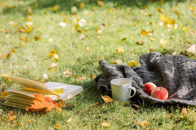 Composición de otoño sobre fondo de naturaleza ligera abierta