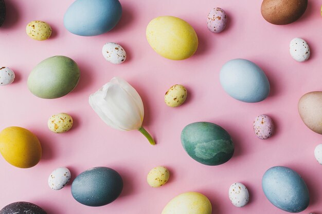 Composición de Pascua Huevos con estilo y plano de tulipán sobre fondo rosa Tarjeta de felicitación