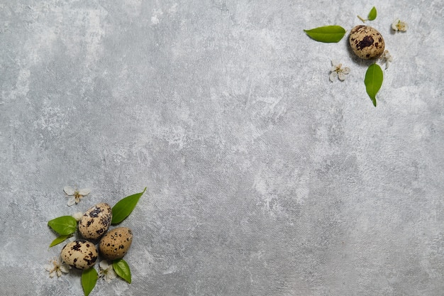 Composición de pascua. Patrón de huevos de codorniz y hojas verdes en una pared gris