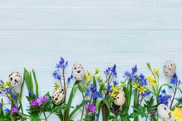 Composición de pascua las primeras flores de primavera huevos de codorniz
